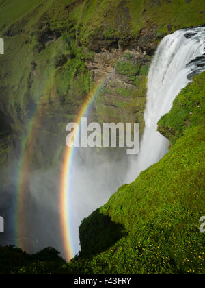 Skogafoss Wasserfall mit einem doppelten Regenbogen in den Nebel und Dampf steigt aus dem Wasser. Stockfoto