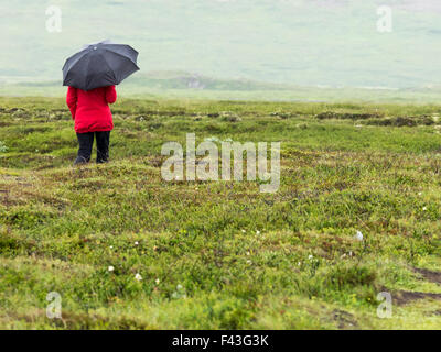 Frau im Regen mit rote Jacke und schwarzen Regenschirm in Island über Moorland Freiland Rückansicht allein zu Fuß Stockfoto