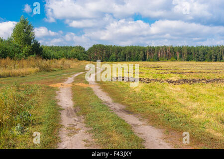 Landschaft mit Erde Weg zum Wald am Ende des Sommers Stockfoto