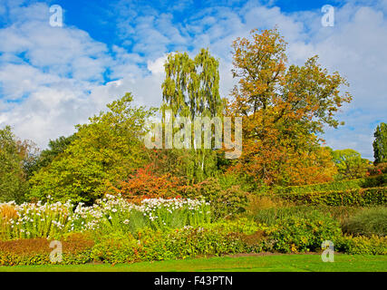 Harlow Carr, Gärten der Royal Horticultural Society, in der Nähe von Harrogate, North Yorkshire, England UK Stockfoto