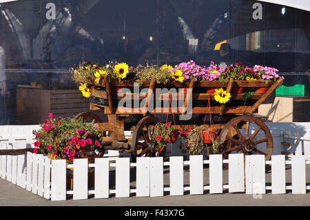 Töpfe mit Blumen auf Warenkorb im Rahmen der ländlichen Garten Dekoration Stockfoto