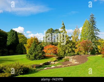 Harlow Carr, Gärten der Royal Horticultural Society, in der Nähe von Harrogate, North Yorkshire, England UK Stockfoto