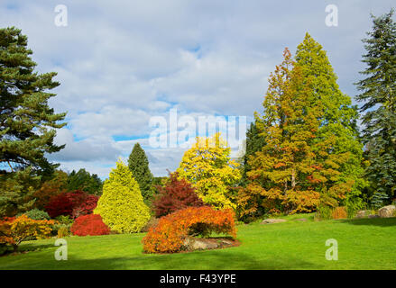 Harlow Carr, Gärten der Royal Horticultural Society, in der Nähe von Harrogate, North Yorkshire, England UK Stockfoto