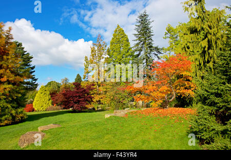 Harlow Carr, Gärten der Royal Horticultural Society, in der Nähe von Harrogate, North Yorkshire, England UK Stockfoto