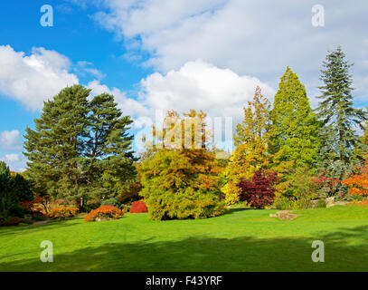 Harlow Carr, Gärten der Royal Horticultural Society, in der Nähe von Harrogate, North Yorkshire, England UK Stockfoto