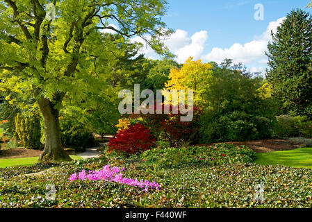 Harlow Carr, Gärten der Royal Horticultural Society, in der Nähe von Harrogate, North Yorkshire, England UK Stockfoto