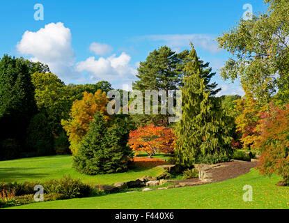 Harlow Carr, Gärten der Royal Horticultural Society, in der Nähe von Harrogate, North Yorkshire, England UK Stockfoto