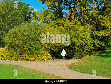 Harlow Carr, Gärten der Royal Horticultural Society, in der Nähe von Harrogate, North Yorkshire, England UK Stockfoto