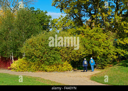 Harlow Carr, Gärten der Royal Horticultural Society, in der Nähe von Harrogate, North Yorkshire, England UK Stockfoto