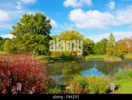 Harlow Carr, Gärten der Royal Horticultural Society, in der Nähe von Harrogate, North Yorkshire, England UK Stockfoto