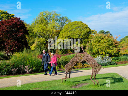 Harlow Carr, Gärten der Royal Horticultural Society, in der Nähe von Harrogate, North Yorkshire, England UK Stockfoto