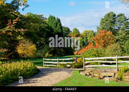 Harlow Carr, Gärten der Royal Horticultural Society, in der Nähe von Harrogate, North Yorkshire, England UK Stockfoto