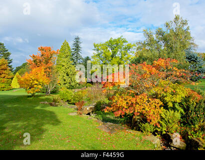 Harlow Carr, Gärten der Royal Horticultural Society, in der Nähe von Harrogate, North Yorkshire, England UK Stockfoto