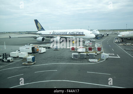 Arbeiter Laden & Entladen Container ein- und Ausschalten Flugzeuge am Flughafen JFK in New York City. Stockfoto