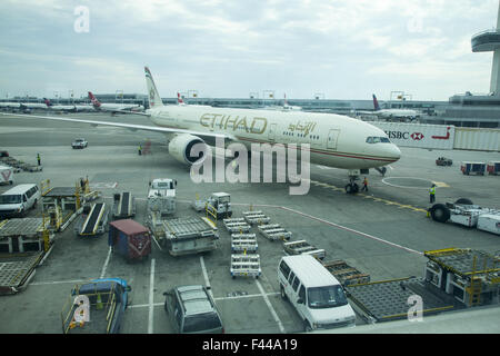 Arbeiter laden Ladung auf ein Flugzeug von ETIHAD Airlines am JFK Flughafen in New York City. Vereinigte Arabische Emirate airlines Stockfoto