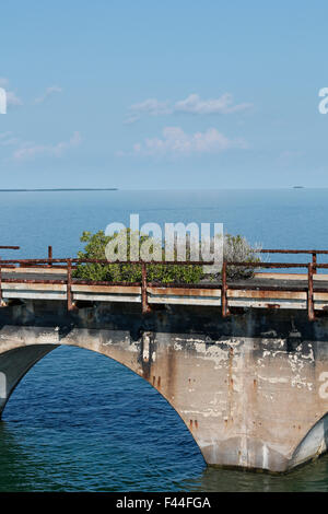 Die originalen, historischen "Übersee" Eisenbahnbrücken in den Florida Keys von Henry Flagler in den frühen 1900er Jahren gebaut Stockfoto