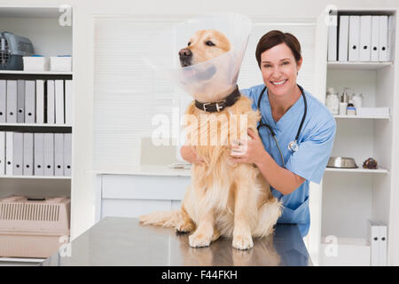 Lächelnde Tierarzt untersuchen einen süßen Hund Stockfoto