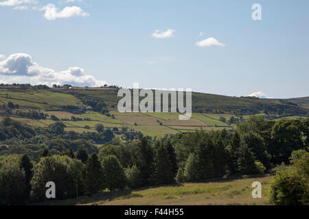 Oben in der Nähe von Haworth West Yorkshire England Oxenhope Moorland Stockfoto