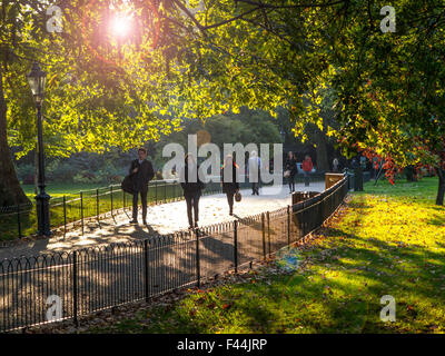 Lange Schatten im Herbst im St James Park im Zentrum von London Stockfoto