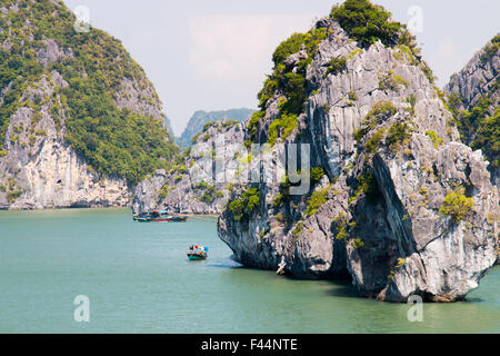Angelboote/Fischerboote unter alten Kalksteininseln in Bai Tu long Bucht, Teil der Halong-Bucht ein UNESCO-Weltkulturerbe, Vietnam, Asien Stockfoto