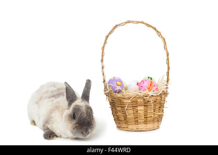Osterhase mit Korb mit Eiern Stockfoto