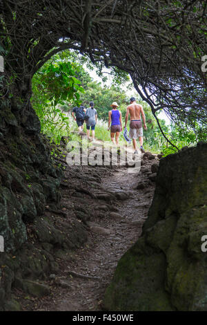 Wanderer auf dem Weg zum Akoakoa Punkt, Polulu Tal, große Insel von Hawaii, Hawaii, USA Stockfoto