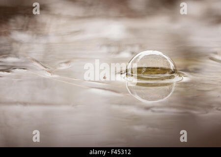 Bläschen gebildet durch Regen Stockfoto