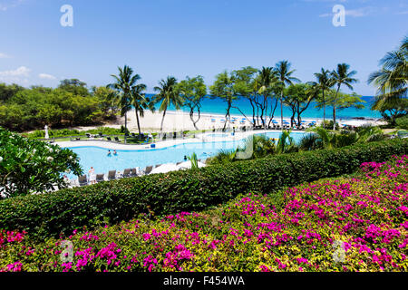 Gärten; Blumen, Schwimmbad, Hapuna Beach Prince Hotel & Golf Course, mit Strand & Ozean jenseits Kohala Coast, Hawaii, USA Stockfoto