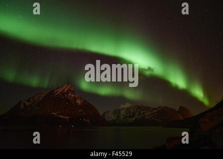 Nordlicht, Reine, Lofoten, Norwegen Stockfoto