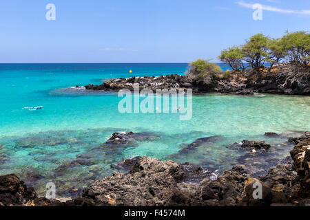 Touristen, Schwimmen und Schnorcheln am Hapuna Beach, Kohala Coast, Hawaii, USA Stockfoto