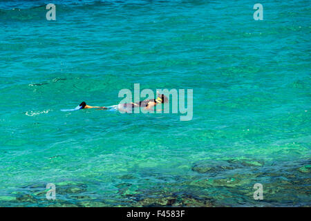 Schwimmer, Schnorcheln, Hapuna Beach, Kohala Coast, Hawaii, USA Stockfoto