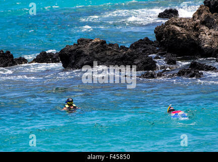 Schwimmer, Schnorcheln, Hapuna Beach, Kohala Coast, Hawaii, USA Stockfoto