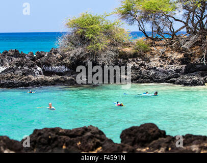 Schwimmer, Schnorcheln, Hapuna Beach, Kohala Coast, Hawaii, USA Stockfoto