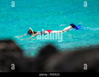 Schwimmer, Schnorcheln, Hapuna Beach, Kohala Coast, Hawaii, USA Stockfoto