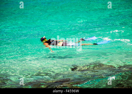 Schwimmer, Schnorcheln, Hapuna Beach, Kohala Coast, Hawaii, USA Stockfoto