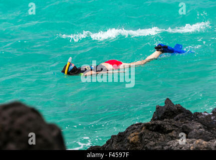 Schwimmer, Schnorcheln, Hapuna Beach, Kohala Coast, Hawaii, USA Stockfoto