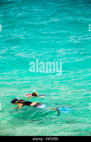 Schwimmer, Schnorcheln, Hapuna Beach, Kohala Coast, Hawaii, USA Stockfoto