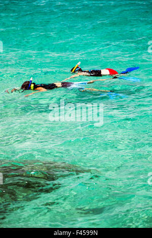 Schwimmer, Schnorcheln, Hapuna Beach, Kohala Coast, Hawaii, USA Stockfoto