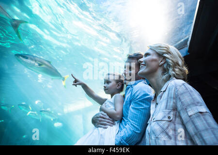 Familly Aquarium betrachten