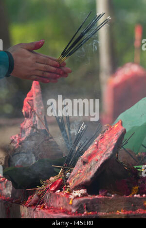 Hindu-Tempel bei Maggy Festival in Bardia, Nepal Stockfoto