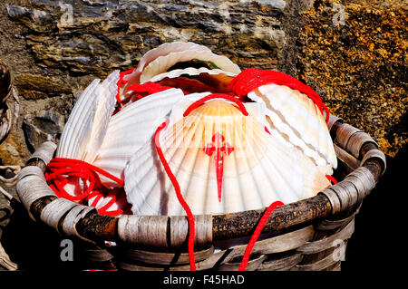 Jakobsmuscheln mit dem Kreuz des Ordens von Santiago. Jakobsmuscheln sind das Symbol für den Heiligen Jakobus Weg (Camino de Santiago Stockfoto