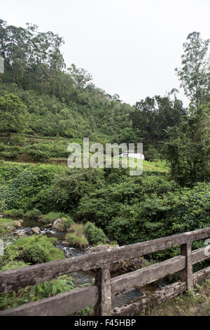 Brücke über einen Fluss Stockfoto