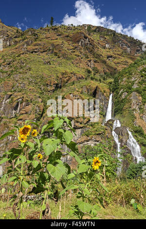 Wasserfall im Himalaya Stockfoto