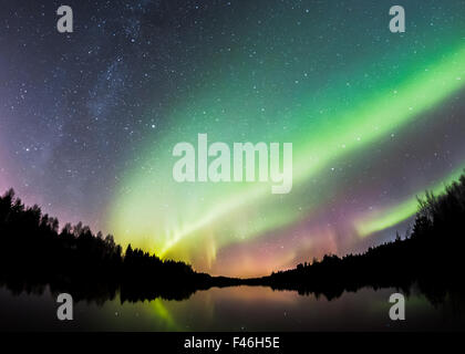 Nordlicht am Himmel über Finnland. Stockfoto