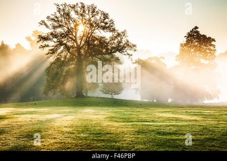 Die Parklandschaft auf dem Bowood Anwesen in Wiltshire im Herbst. Stockfoto