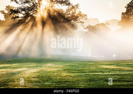 Die Parklandschaft auf dem Bowood Anwesen in Wiltshire im Herbst. Stockfoto