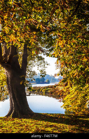 Blick durch herbstliche Bäume am See auf dem Bowood Anwesen in Wiltshire. Stockfoto