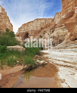 Ein Avdat Nationalpark Stockfoto