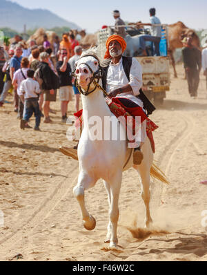 PUSHKAR, INDIEN - NOV. 21, 2012: ein unbekannter Reiter auf einem weißen Pferd kümmert sich bei der Pushkar fair in Pushkar, Rajasthan, Indien Stockfoto