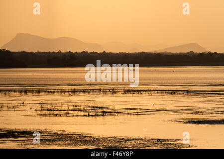 Sonnenuntergang im Naturschutzgebiet Sumpf in Arugam Bay, Sri Lanka Stockfoto